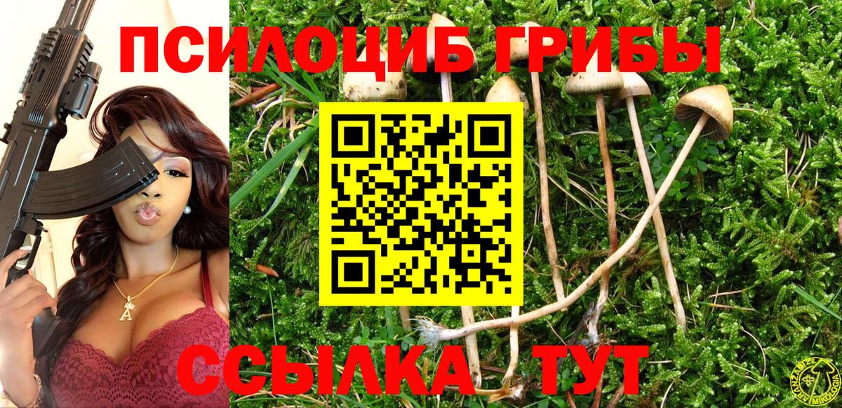 Псилоцибиновые грибы Psilocybine cubensis  Галлюциногенные грибы MAGIC MUSHROOMS  что такое   Полысаево  Вход с VPN 